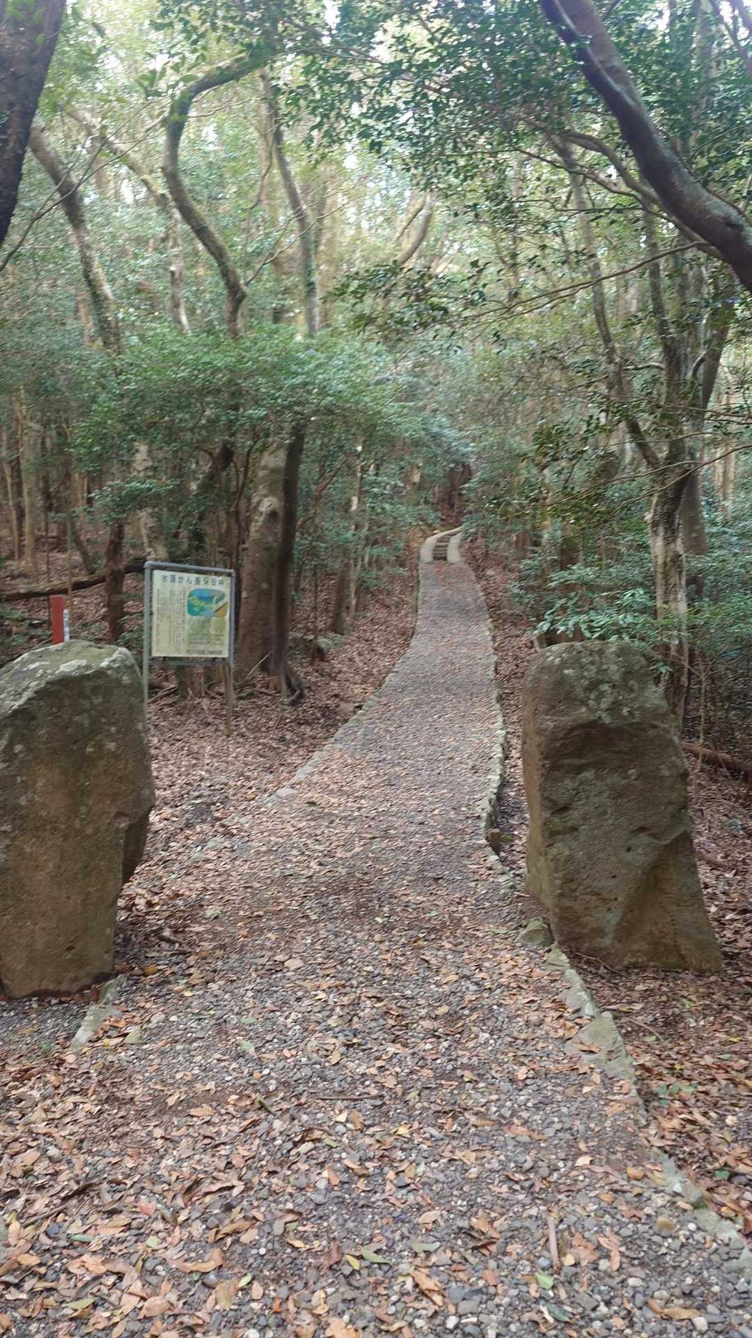 安満岳登山道口-安満岳-三の鳥居 往復コースの写真