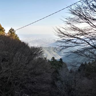 境内からの眺め

月輪寺といえば鹿さんですが、まだ会えたことないなあ