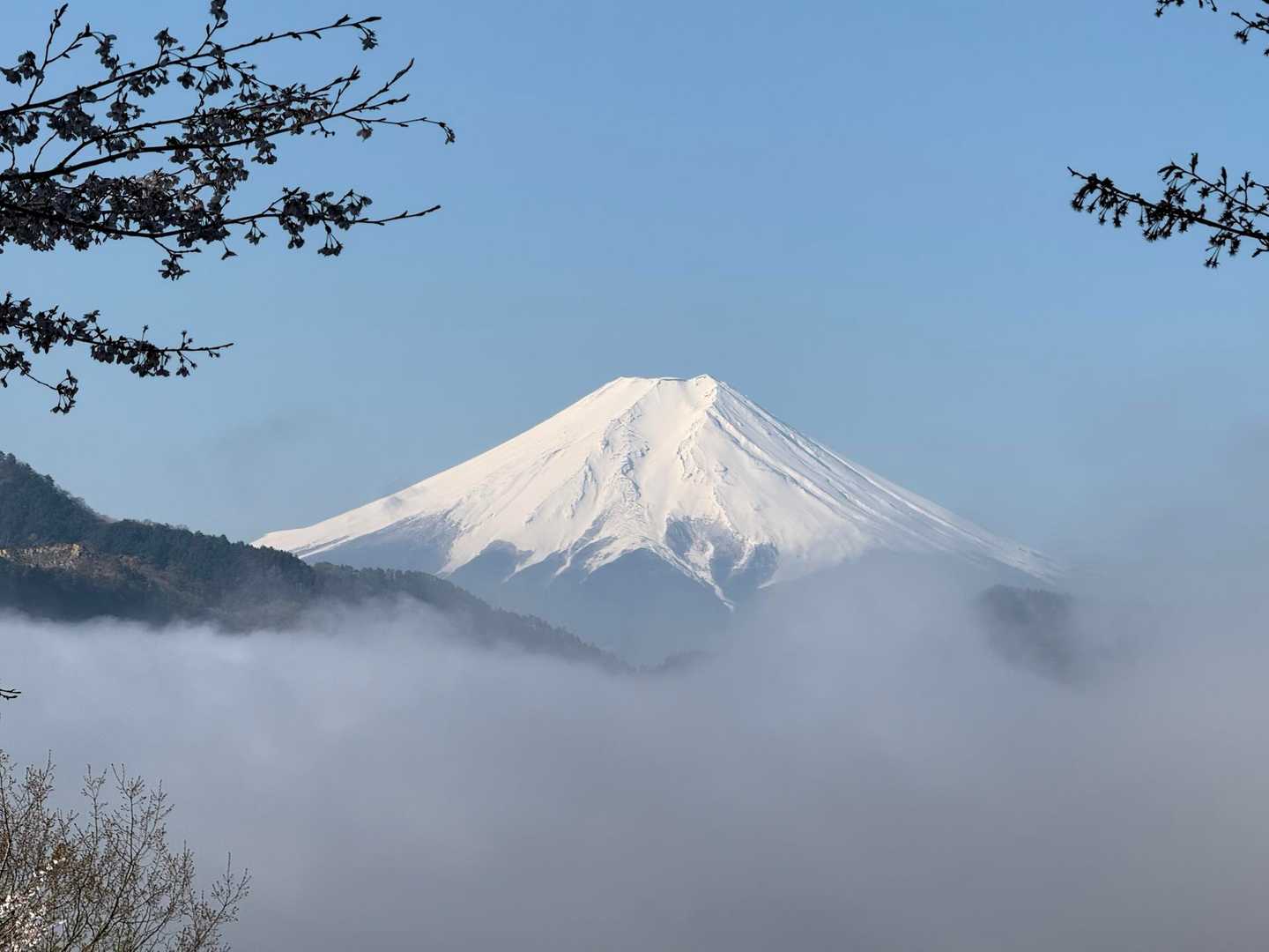 少しずつ霧が晴れていきます。