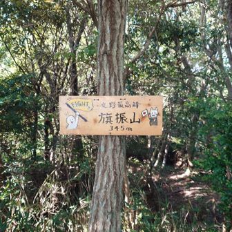 旗振山、登頂