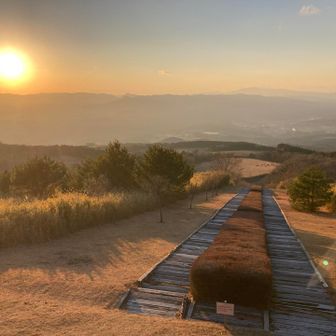 来た〜✨✨
これ観たかった〜
日本一の枕木階段
しかも、夕陽付き🌅