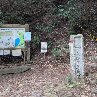 最勝ヶ峰の方へ。