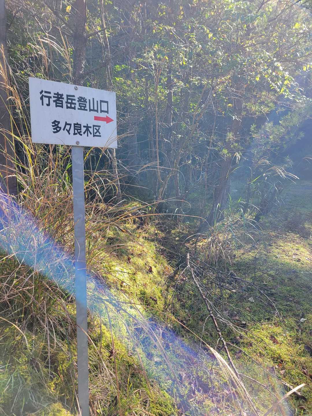 ここからしゅっぱーつ！