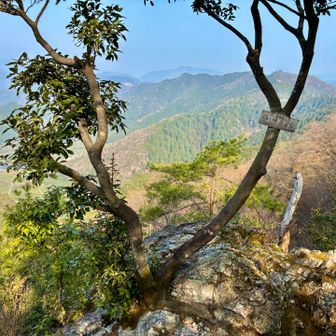 城ヶ峰山頂から、ほどなくして城ヶ峰展望台に到着