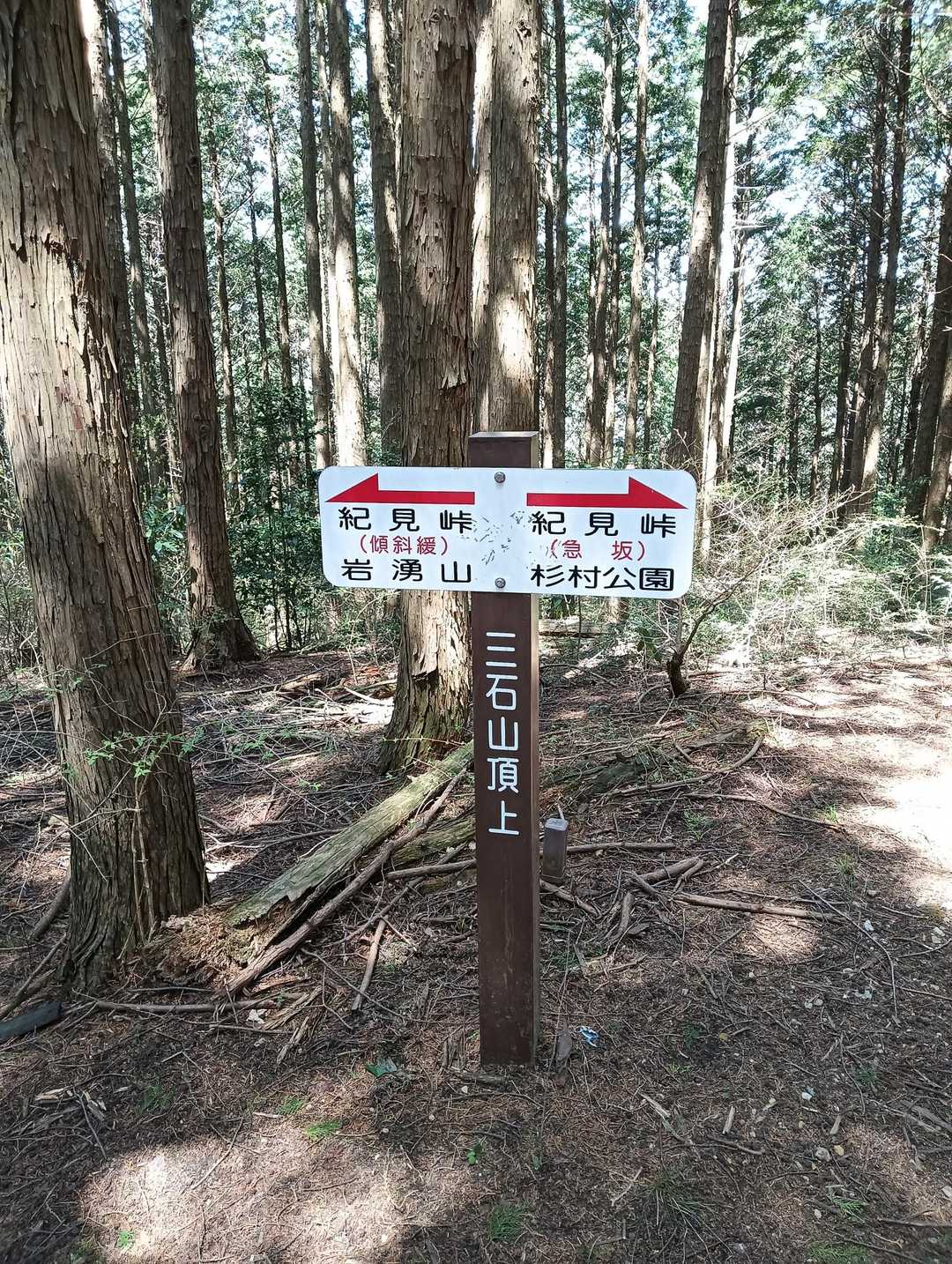 着きましたー！