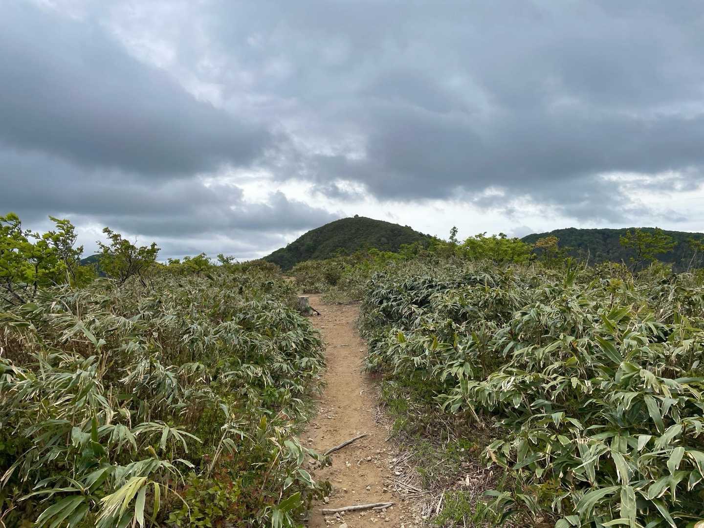 北丈競山、到着。
目指すは避難小屋の丈競山。
あそこに登らないといけないのに下るのもったいないな〜。
双子ちゃん（双耳峰）だからしゃーない。