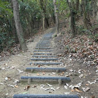 城山山頂へはひたすら階段を登る… 疲れた身体にはつらい。