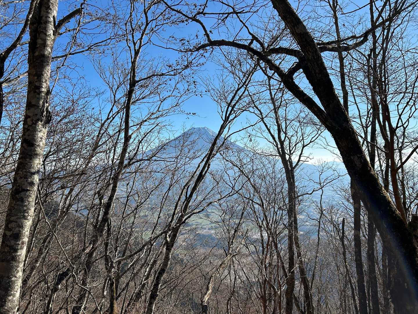 背中には富士山🗻