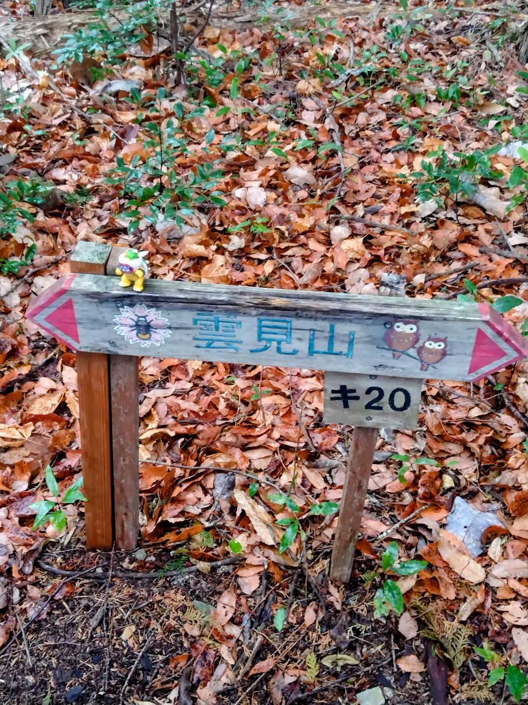 雲見山