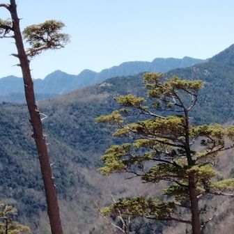 沢入山への尾根から見えた庚申山？