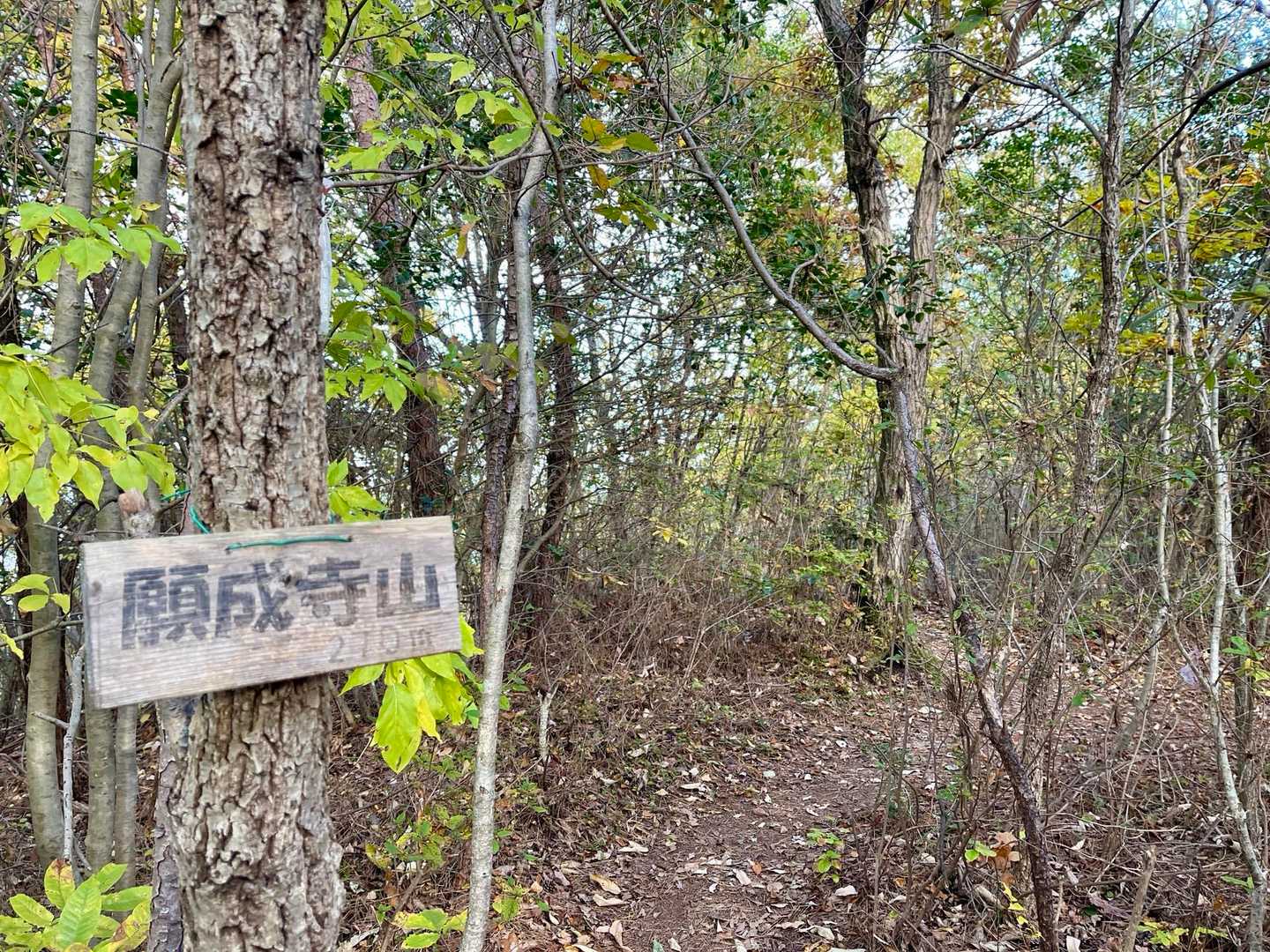 本日ラストの願成寺山！
展望ないし遊歩道の途中にある
コブのピークで到着と言うよりは
通過しまーすやね😅