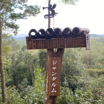 いい覗き竹
