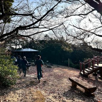 山トレについて走る💨まーなんとかついていけるけど、途中からコースを変える