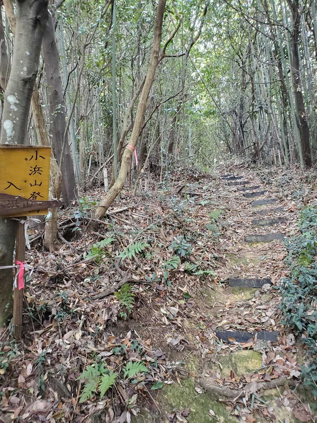 小浜山登山口