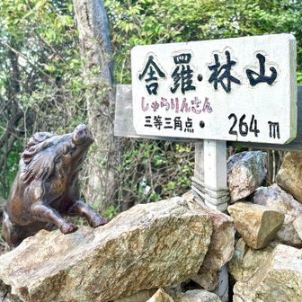 覗いてて かわいい
