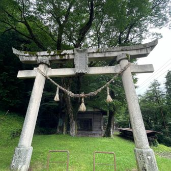 信飛トレイルを歩くに忘れちゃいけない島々神社⛩️
この先、今後の山歩の無事をお願いしました🙏

事前調査でここはお健脚名方命神が祀られた神社だと思っていた事は秘密にしておきます😝
（健御名方命神）