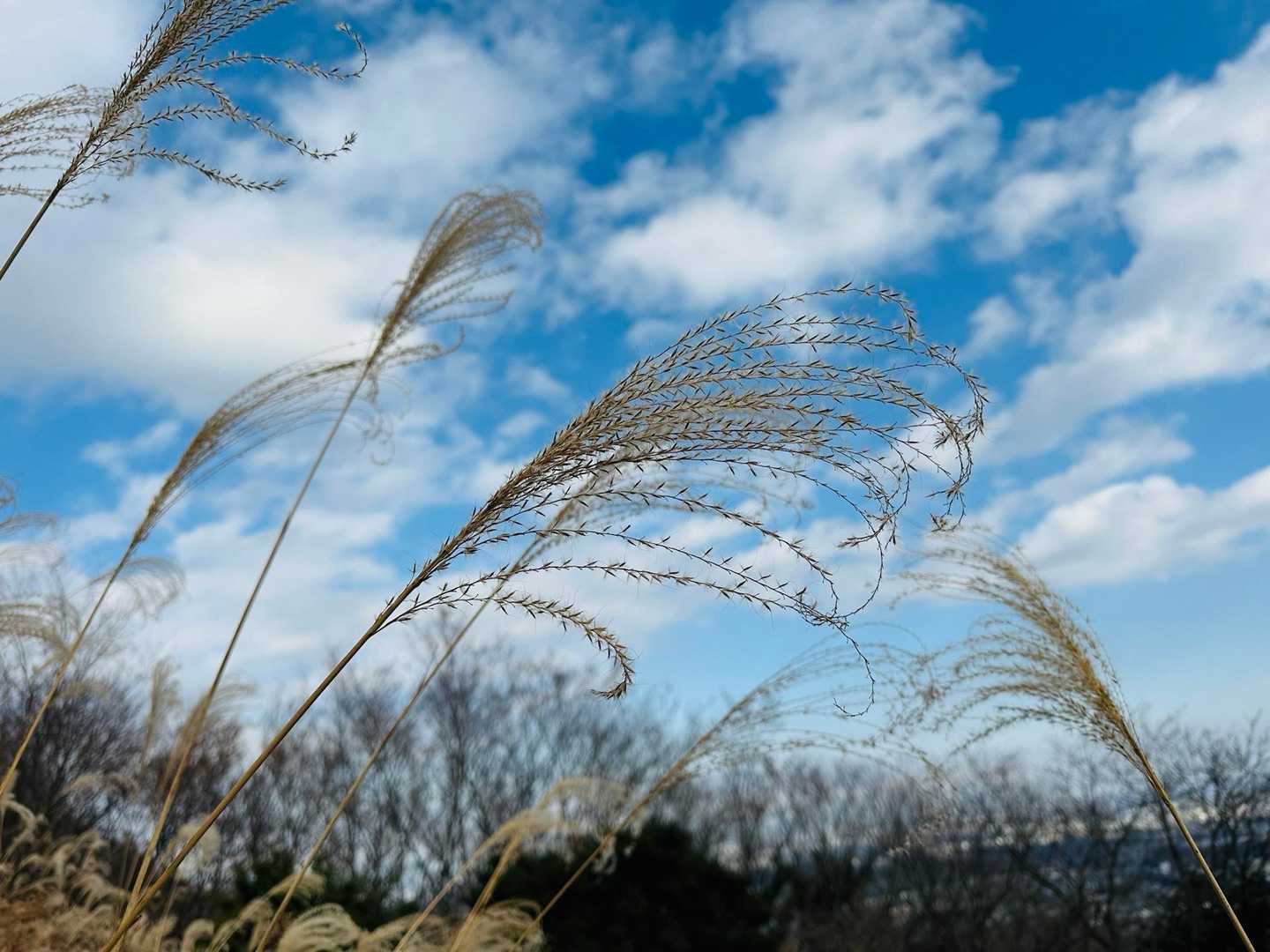 聖峰 往復コースの写真
