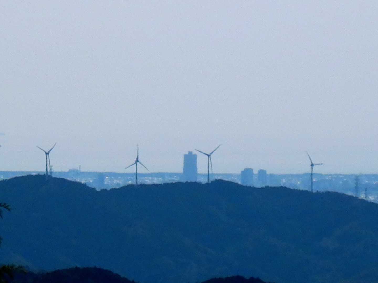 木々の隙間から三岳山の風車🌀🌀🌀🌀とアクトタワーが見えました！