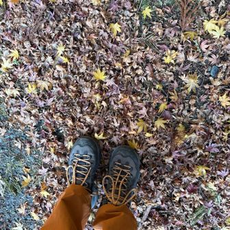 紅葉も綺麗だったんだろうなぁ…と📸