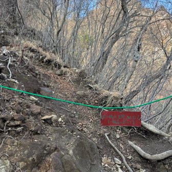 いよいよ未知の世界へ🤭