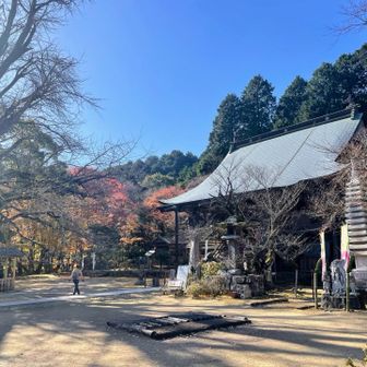 🚩大山寺（たいさんじ）

くねくね道で
対向が厳しい所もありますが
車で来れます

四国別格二十霊場
第一番札所

1500年以上の
歴史のあるお寺です

毎年1月に行われる
大きな鏡餅を運ぶ
「力餅」の行事は
戦国時代に起源をもつ

お遍路さんや
参拝者がちらほら

大イチョウは
すっかり落葉