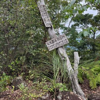 冠北岳へ
山頂手前で戸愚呂を巻いた🐍に遭遇〜😱