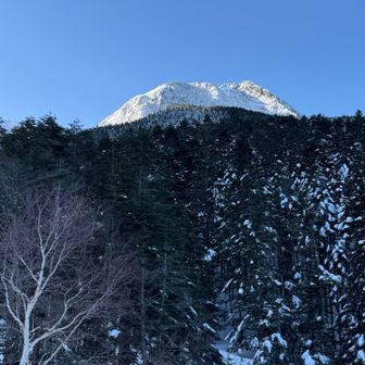 朝日に輝く✨阿弥陀岳