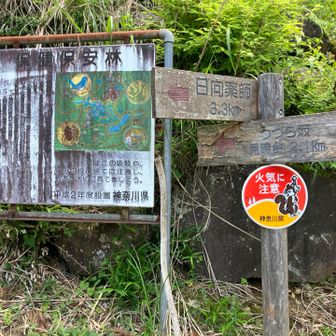 山道は終わり、舗装路に出た
トイレはどこだ！