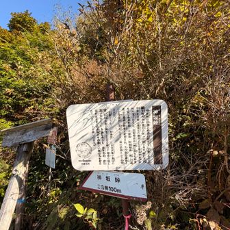 神坂峠
信濃と美濃の国境だったんですと

ここまで来る林道、
狭いのになかなか交通量多くて参りました💦
車体が大きいのは不向きです
恵那山もここから登れるんですね
往来が多いのはそのせいかー！
と、後で知って納得