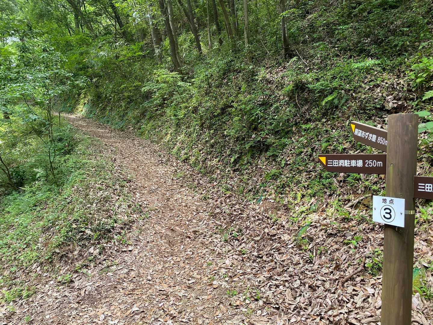 駐車場からここまで少しだけど舗装路歩き。
ここから登山道に入ります。