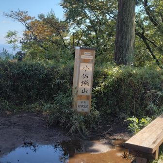 小仏城山(670ｍ)。
水たまり。