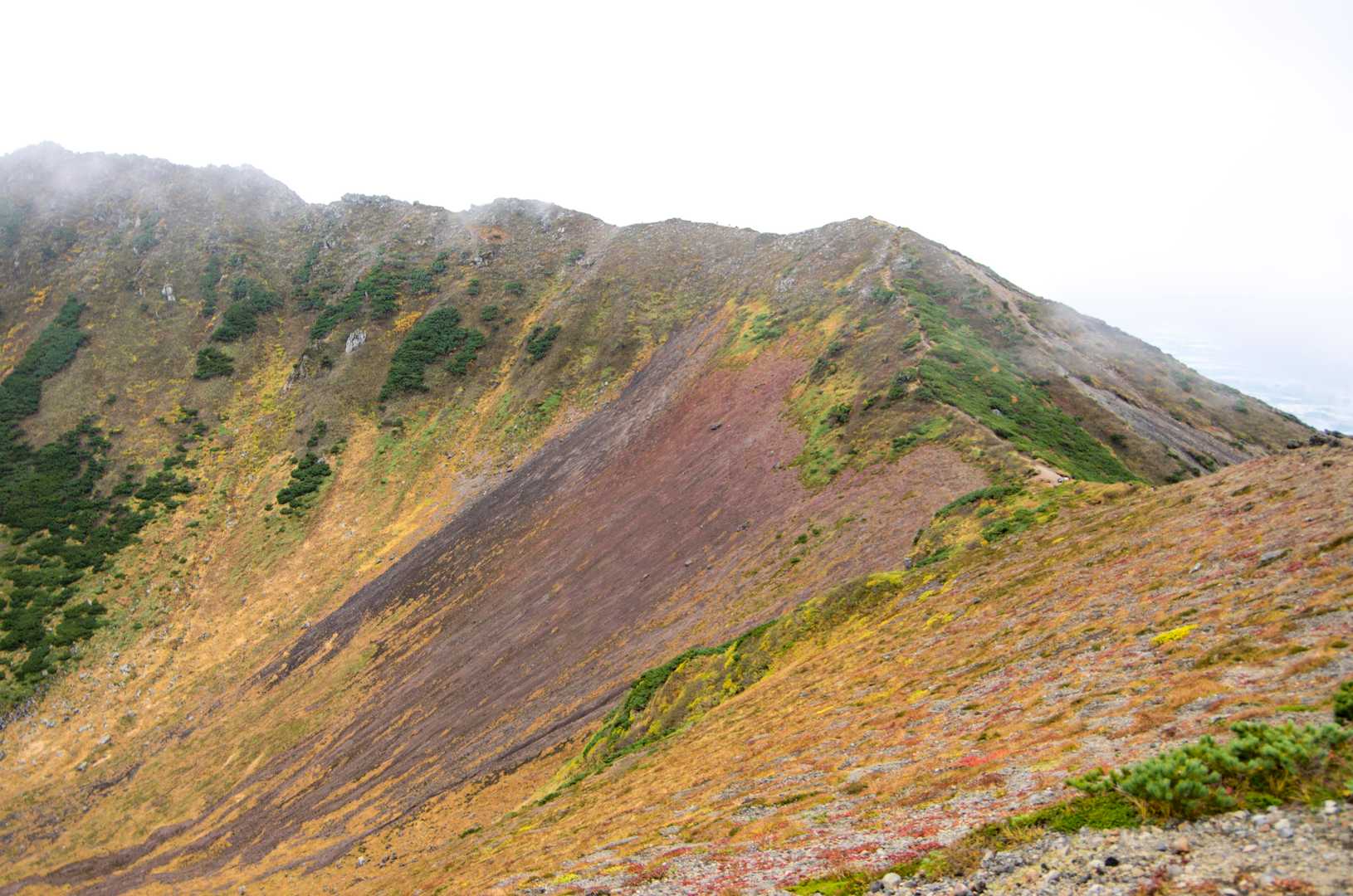 羊蹄山 真狩コースの写真