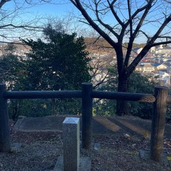 夕日山山頂です。山名表示かあったようですが、気付かなかった…。