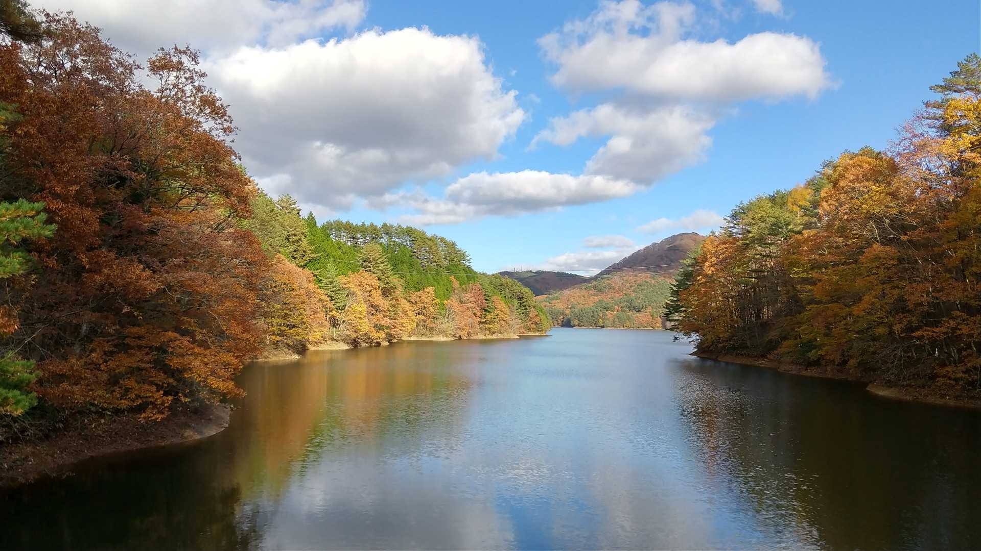 いやん、このグラデーションよくない？🤩