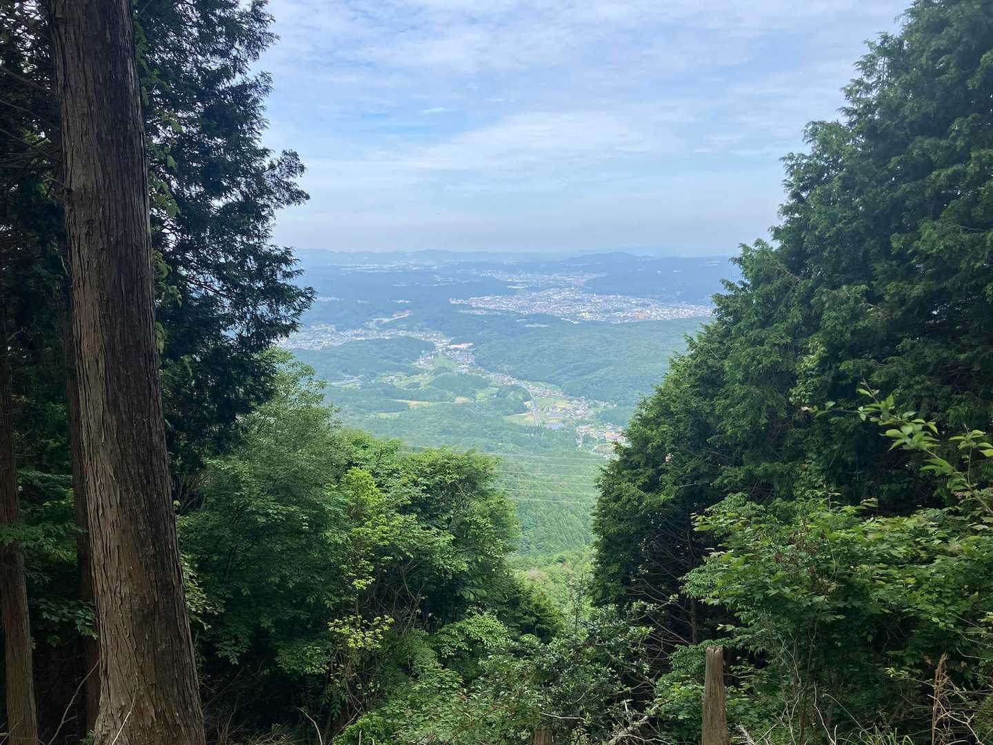 開けました！