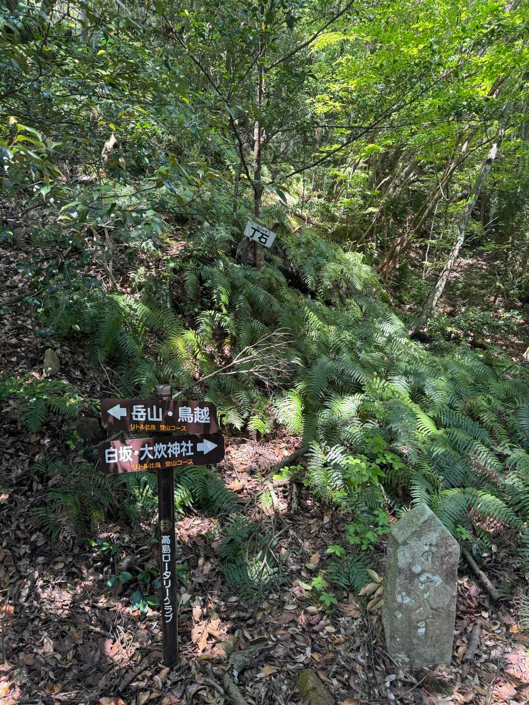 岳山 往復コースの写真