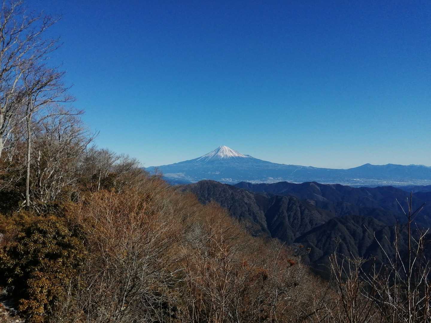 真富士神社-真富士山 往復コースの写真