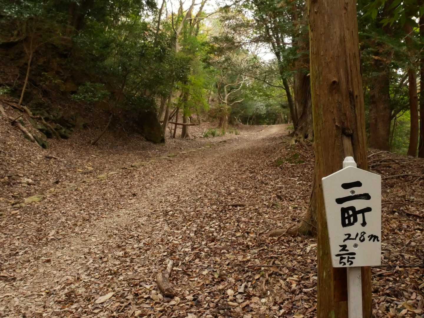 初めてのルート、ワクワク🎶