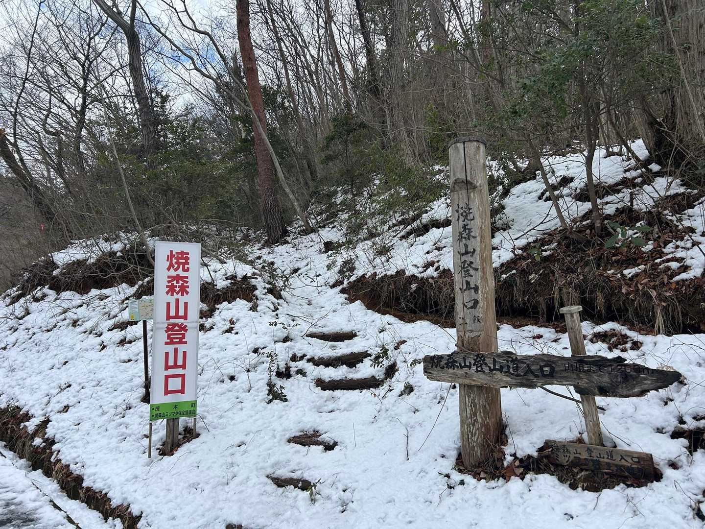 こんなに目立つ登山口を通り過ぎて、林道を歩き続けてました！
すでに大ボケっぷりの３人・・・💦
