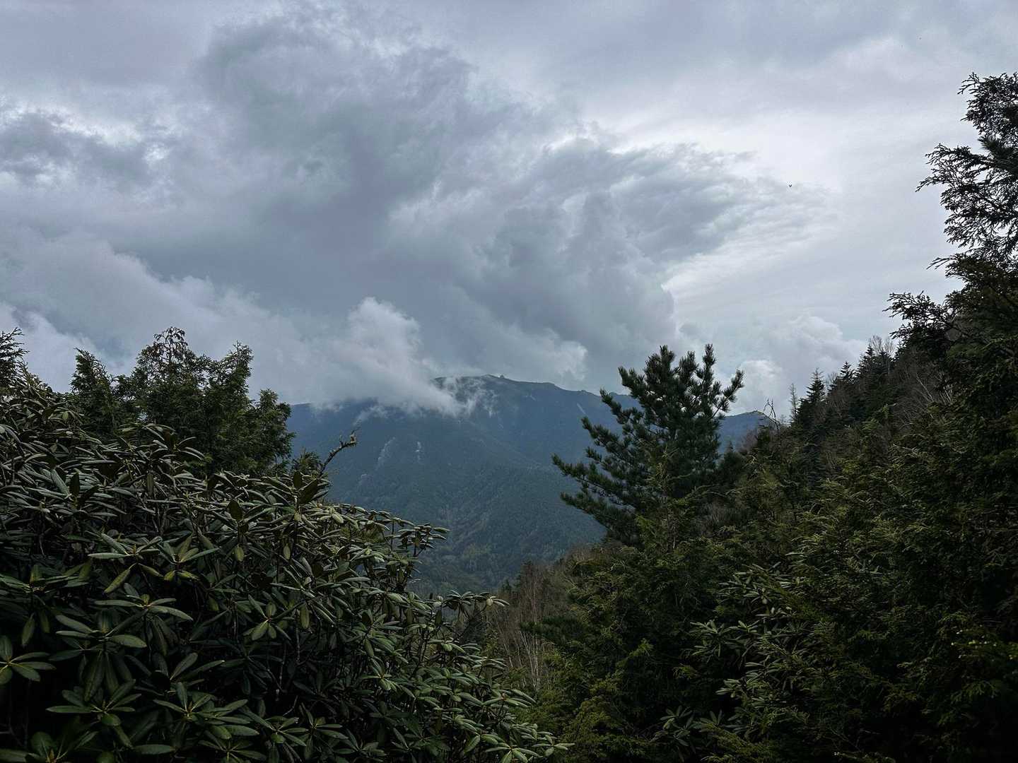 小川山 往復コースの写真