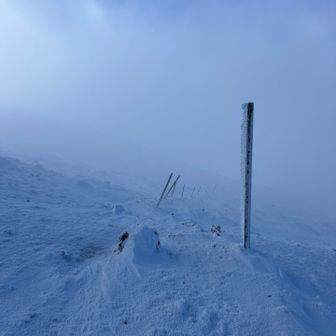 ここから下るよ