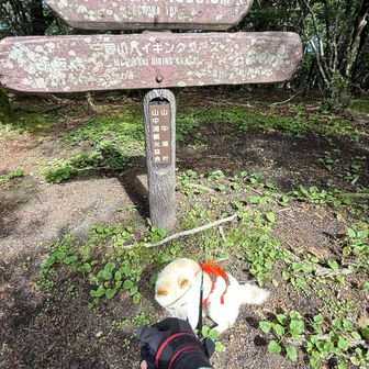 お散歩だったね。
