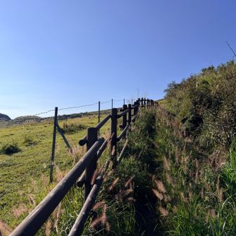 牧場横を登っていく。