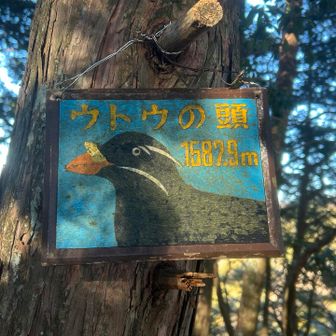 ウトウの頭に到着。芸術的で個性的な標識✨でもなぜ海鳥の名前なんだろう...