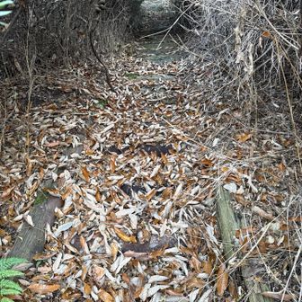 木製の階段を登る。