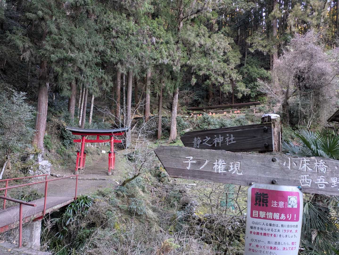 ここから登山道らしくなります