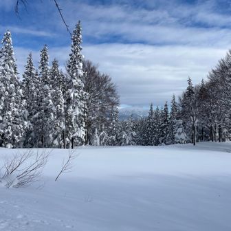 守門も見える
ここで昼食休憩