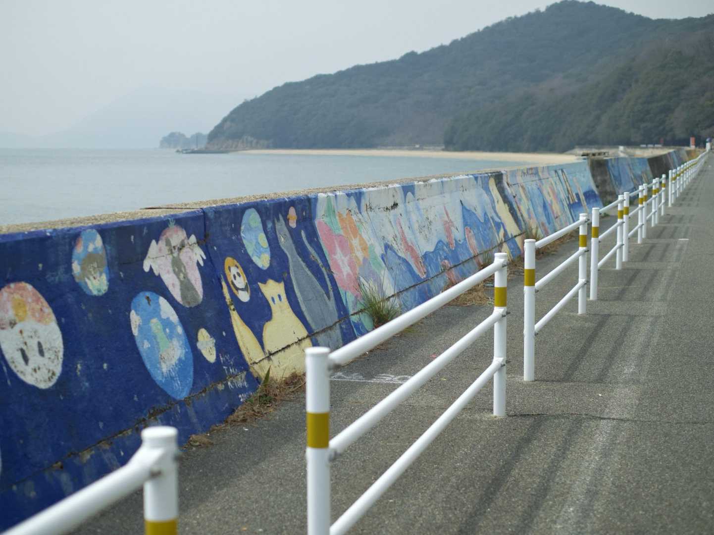 すてきな防波堤でした🩵
