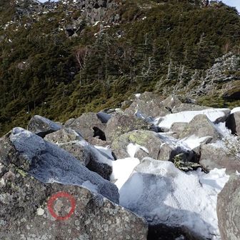 2峰に向かう。この辺は歩きやすい。