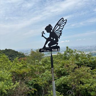 こんなとこにあったっけ🤔。